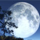 12 ноября 2015 Северный (кармический) лунный Узел переходит в знак Дева